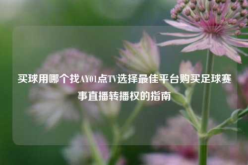买球用哪个找AY01点TV选择最佳平台购买足球赛事直播转播权的指南