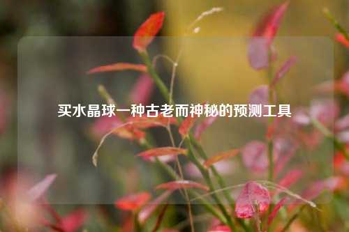 买水晶球一种古老而神秘的预测工具