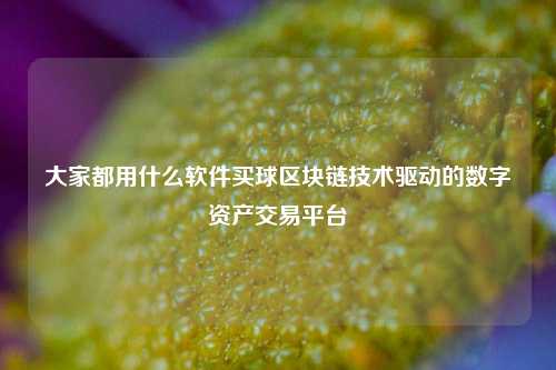 大家都用什么软件买球区块链技术驱动的数字资产交易平台