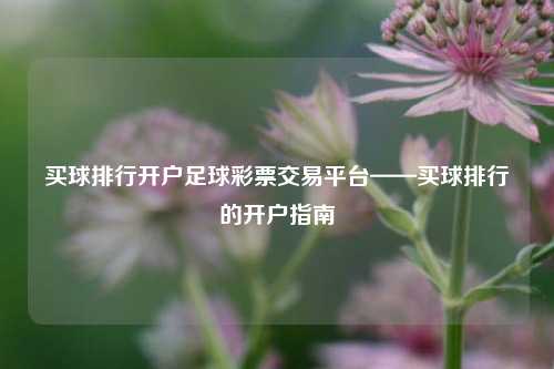 买球排行开户足球彩票交易平台——买球排行的开户指南