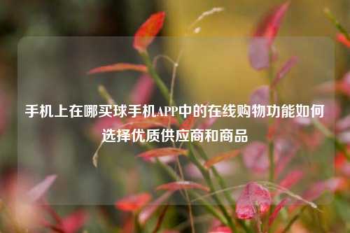 手机上在哪买球手机APP中的在线购物功能如何选择优质供应商和商品