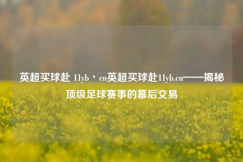 英超买球赴 11yb丶cn英超买球赴11yb.cn——揭秘顶级足球赛事的幕后交易