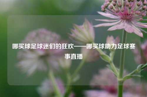 哪买球足球迷们的狂欢——哪买球助力足球赛事直播