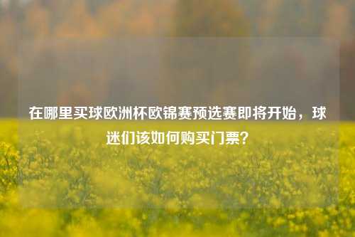 在哪里买球欧洲杯欧锦赛预选赛即将开始，球迷们该如何购买门票？