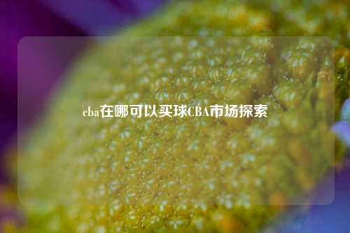 cba在哪可以买球CBA市场探索