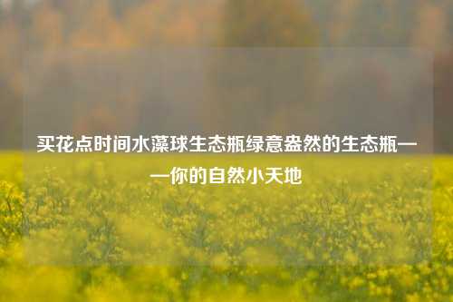 买花点时间水藻球生态瓶绿意盎然的生态瓶——你的自然小天地