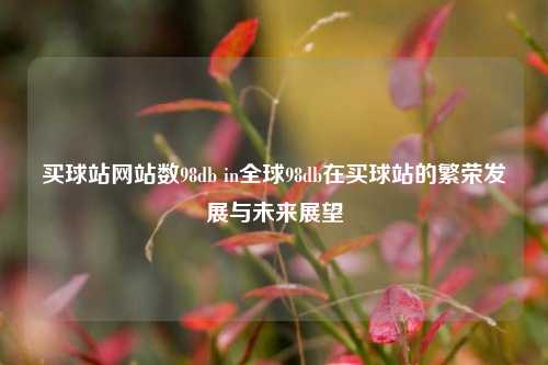 买球站网站数98db in全球98db在买球站的繁荣发展与未来展望
