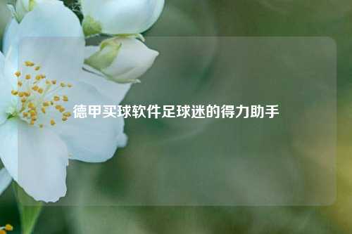 德甲买球软件足球迷的得力助手