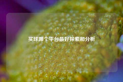 买球哪个平台最好探索和分析