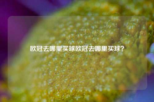 欧冠去哪里买球欧冠去哪里买球？