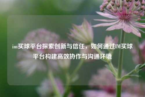 im买球平台探索创新与信任，如何通过IM买球平台构建高效协作与沟通环境