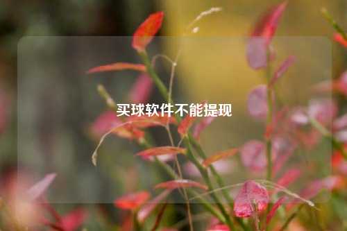 买球软件不能提现